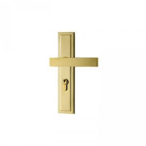 DOOR HANDLE A566-197 PVD