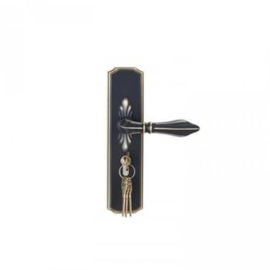 DOOR HANDLE A549-062 ORB